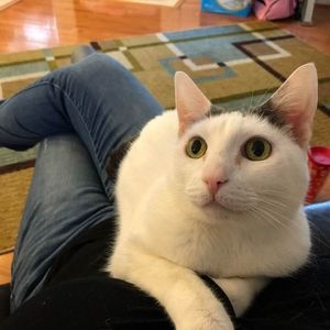 Meet your Posher, Nicole